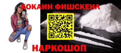 стаф Кингисепп