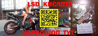 стаф Кингисепп
