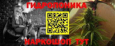 стаф Кингисепп