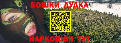 стаф Кингисепп