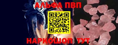 стаф Кингисепп