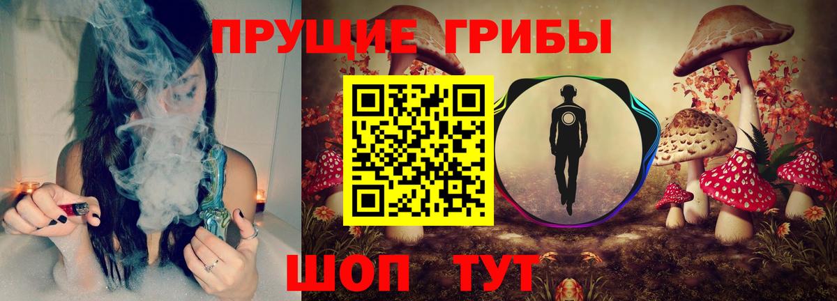 Галлюциногенные грибы Psilocybe Кириши